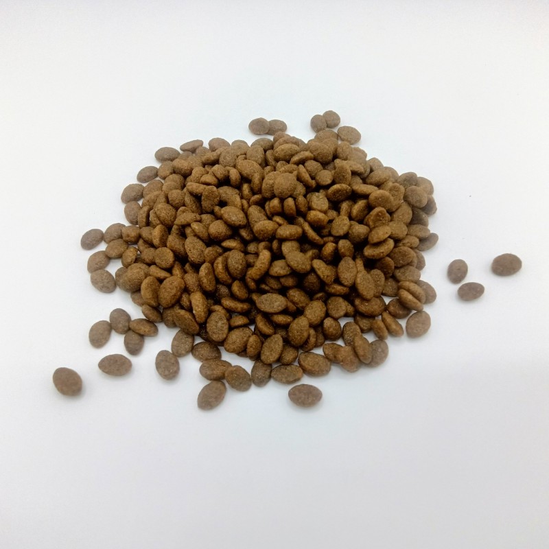 Pet Food Manufacturer - Factory Supply Wholesale Bulk Dog Food Dry Pet Food