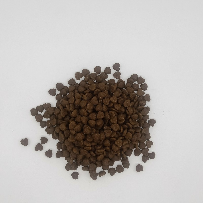 Pet Food Manufacturer - Factory Supply Wholesale Bulk Dog Food Dry Pet Food