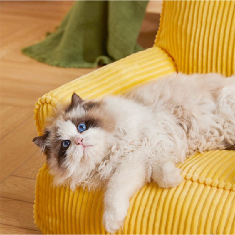 Cat Furniture Supplier - Cat Bed for Indoor Cats Hanging Toy Removable Cushion Soft