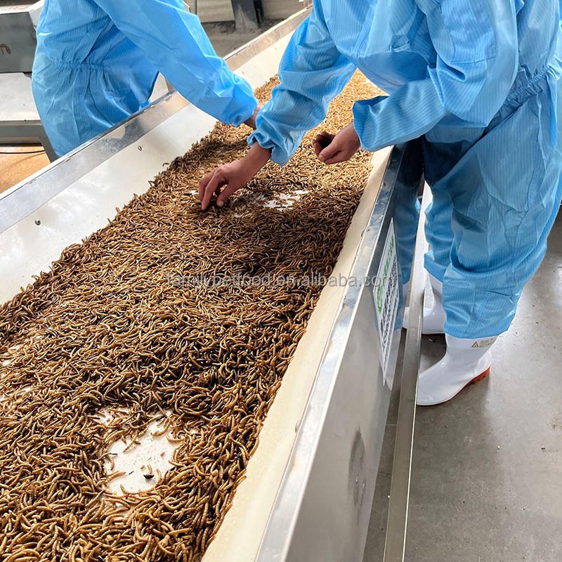 Pet Food Manufacturer - Wholesale High-quality Premium Organic Dried Mealworms