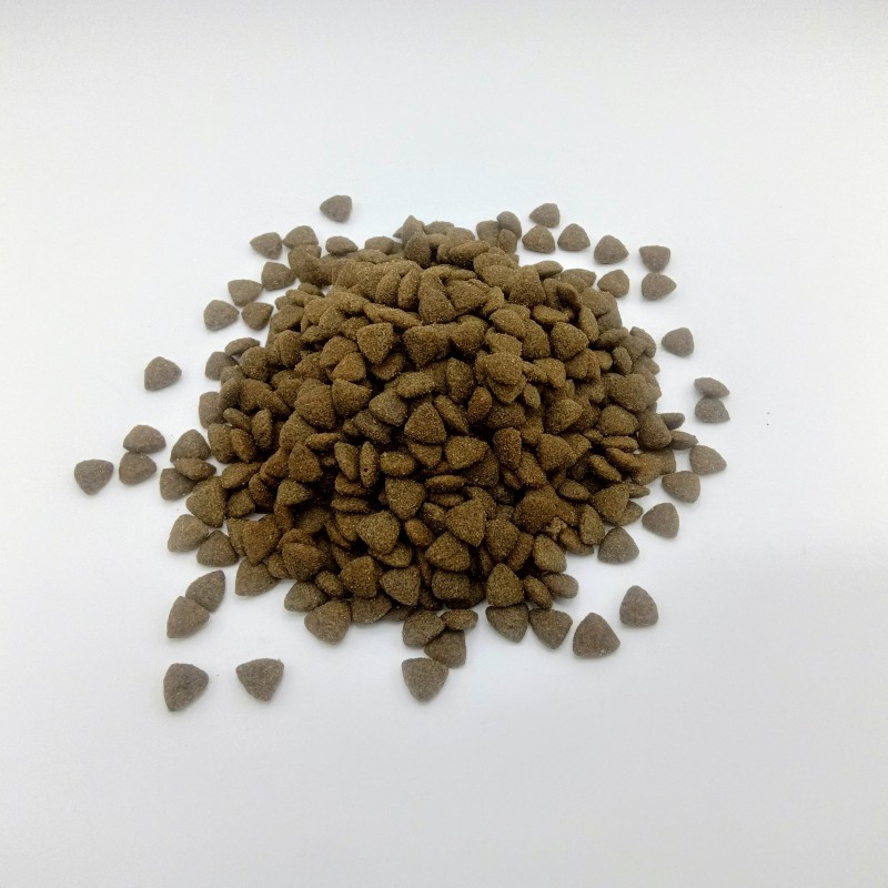 Dry Pet Food Manufacturer - ODM OEM Factory Wholesale Southeast Asian Market