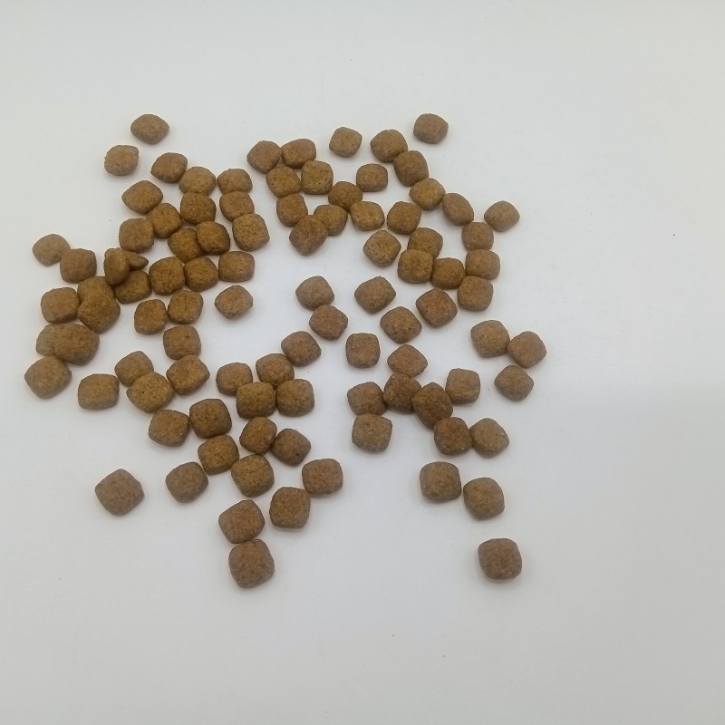 Pet Food Manufacturer - Safe and Healthy Pet Food Cat Food Pet Food