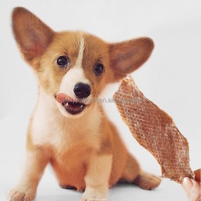 Pet Treats Manufacturer - Premium Organic Rawhide Stick Treat for Dogs Chicken-Wrapped