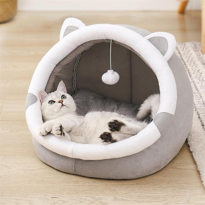 Insect Supplier - ODM Oem Dried Bread Worms Wholesale Dried Yellow Mealworms Pet