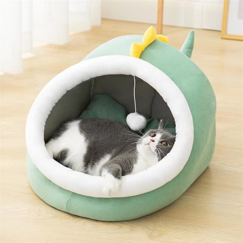 Insect Food Supplier - Odm Oem Dried Bread Worms Wholesale Dried Yellow Mealworms