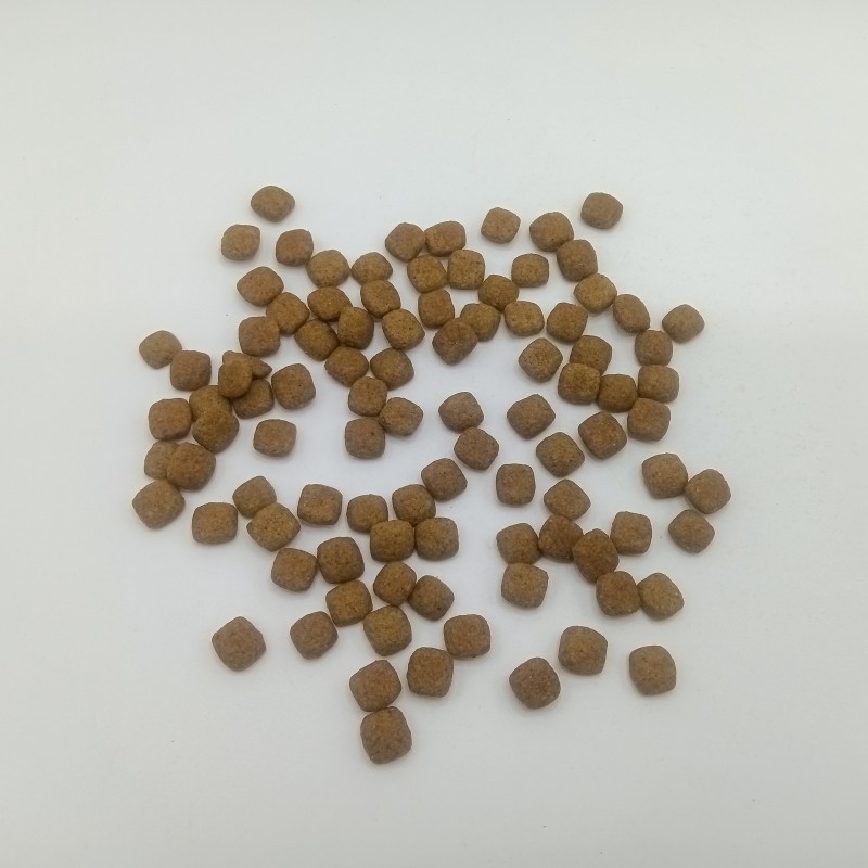 Pet Food Manufacturer - Factory Supply Wholesale Bulk Dog Food Dry Pet Food