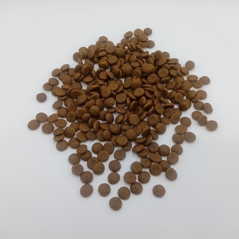 Cat Food Supplier - Pet Kitten Into Cat Food Chicken Natural Fresh Meat Frozen