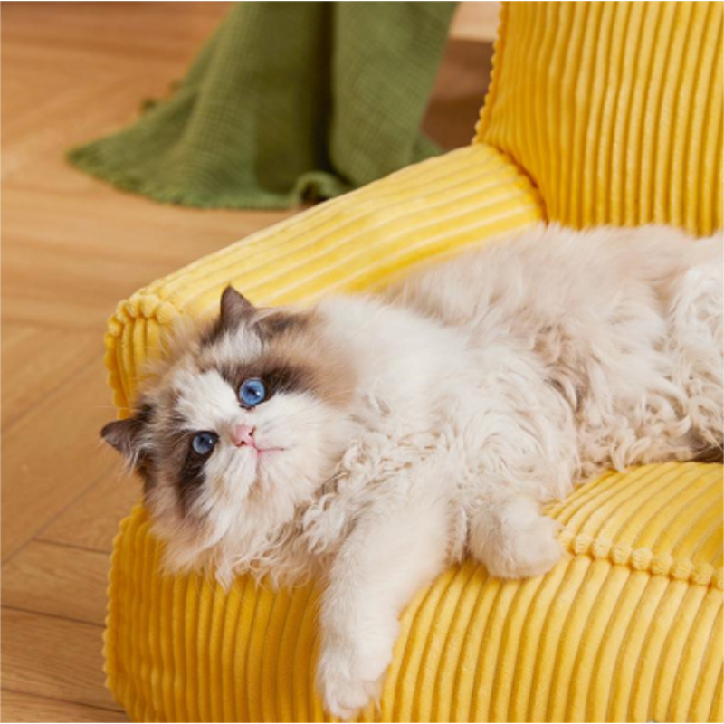 Pet Food Supplier - Hot Selling Pet Food High Protein Nutrition Dog Food Cat Food