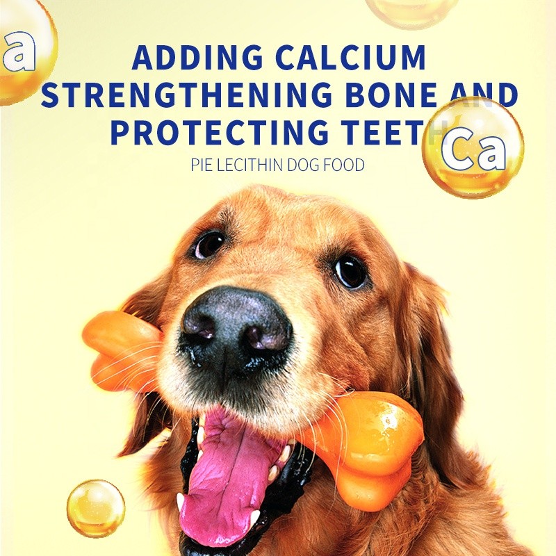 Dry Dog Food Factory - OEM ODM Vitality Aged Dogs Low Allergic