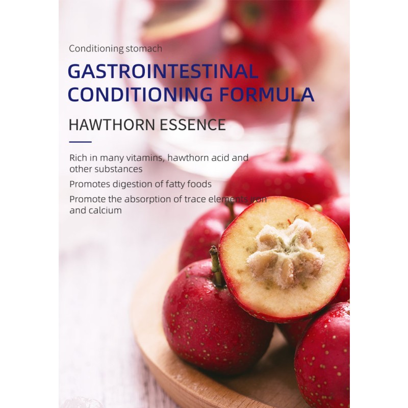 Adult Dog Food Supplier - Custom High Protein Multiple Sizes