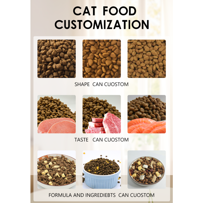 Kitten Cat Food Supplier - OEM Beef Flavor Bulk Dry All Stages