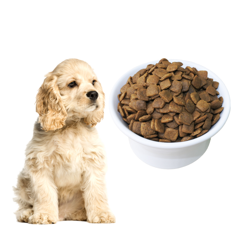Dry Dog Food Supplier - Custom OEM ODM 20kg High Quality