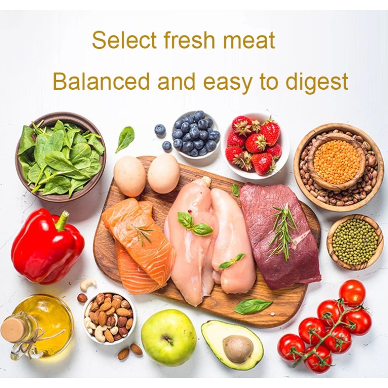 Kitten Cat Food Supplier - OEM Beef Flavor Bulk Dry All Stages