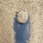 Cat Litter