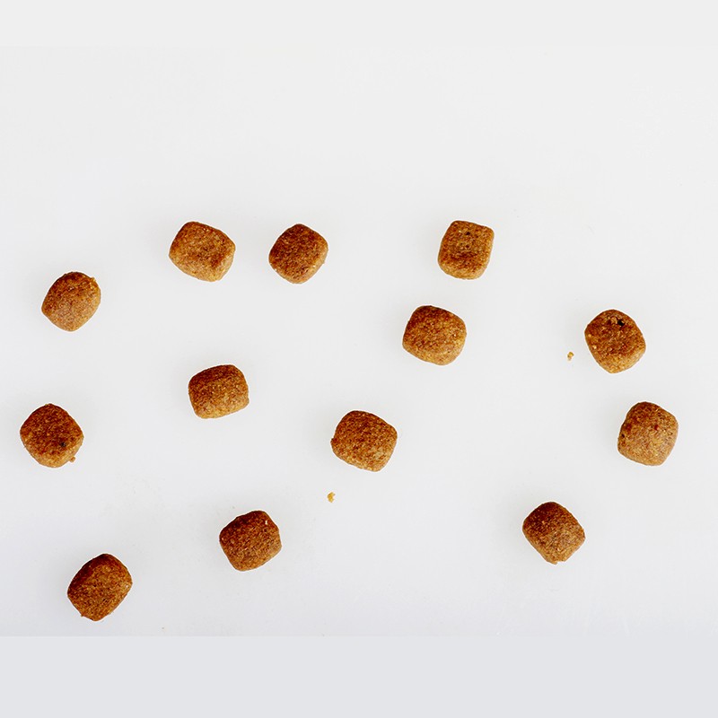 Puppy Dog Food Factory - Best Price Square Shape Organic