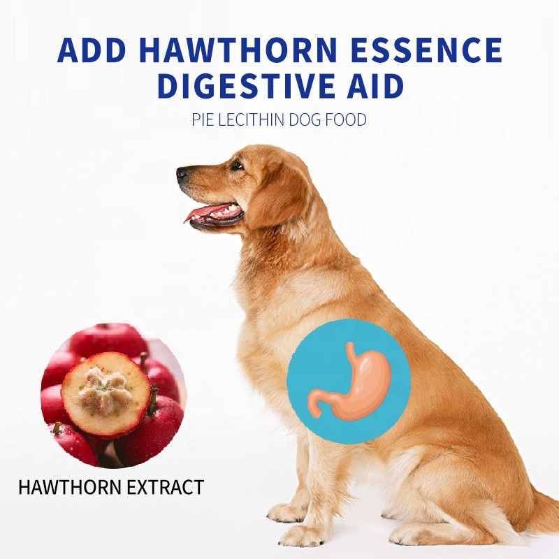 Dry Dog Food Factory - OEM ODM Vitality Aged Dogs Low Allergic