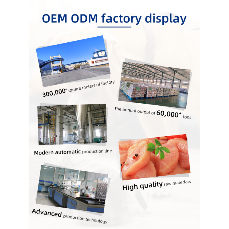 Dry Dog Food Supplier - Custom OEM ODM 20kg High Quality