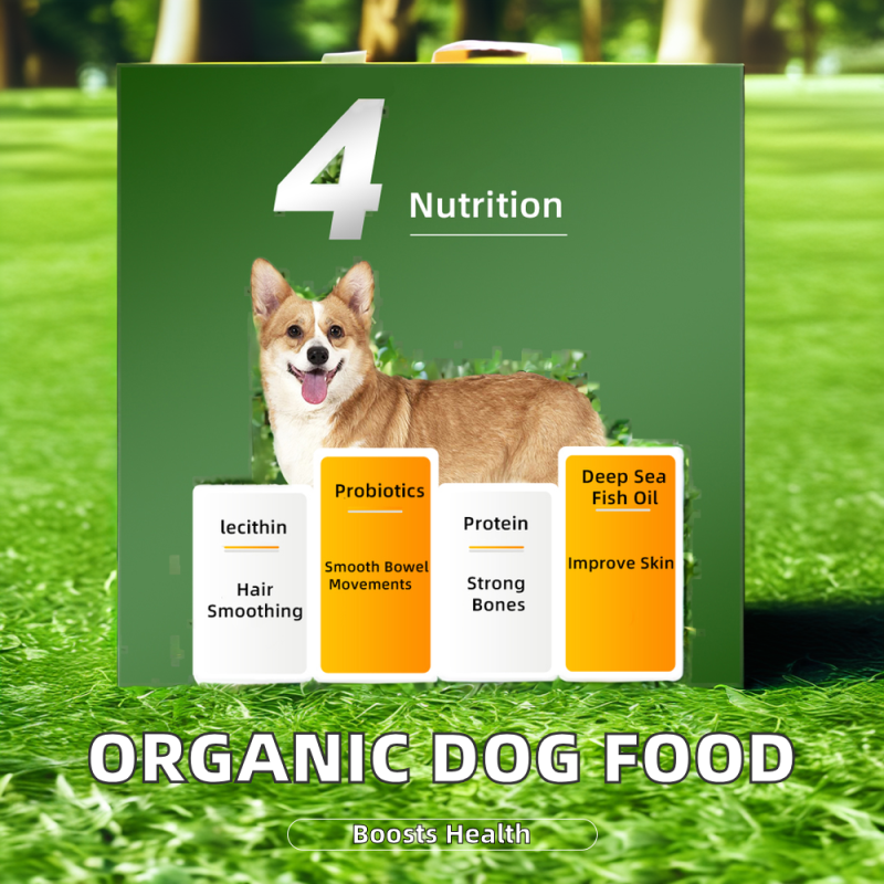 Dry Dog Food Factory - Organic Grain-Free High Protein Chicken