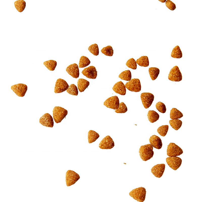 Cat Food Manufacturer - OEM ODM Lonsen Organic Free Samples