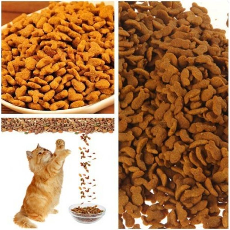 Dry Cat Food Manufacturer - OEM ODM Ocean Perch Fish Flavor