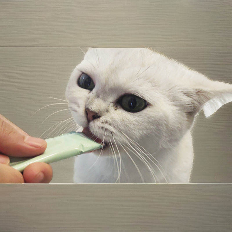 Wet Cat Treats Supplier - All Natural Custom Various Flavors