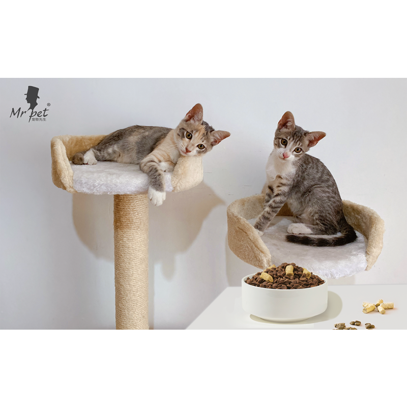 Dry Cat Food Factory - Factory Direct 20kg Real Meat Seafood