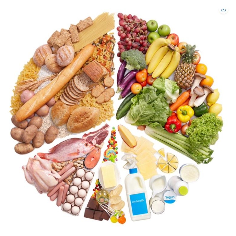 Puppy Dog Food Manufacturer - OEM ODM Organic Premium 15kg 20kg