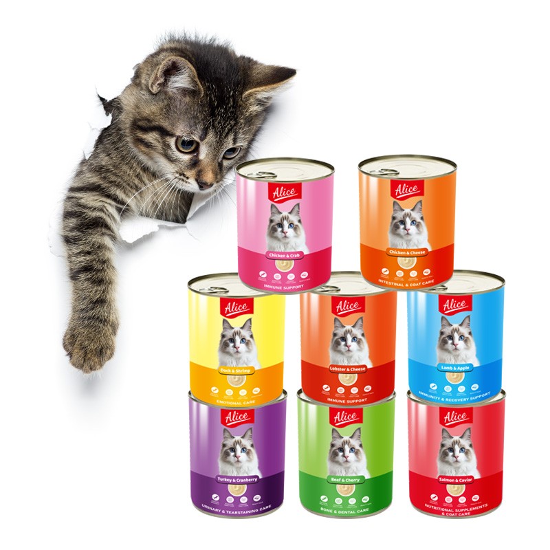 Mousse Can Supplier - Alice New Content Product Good Quality