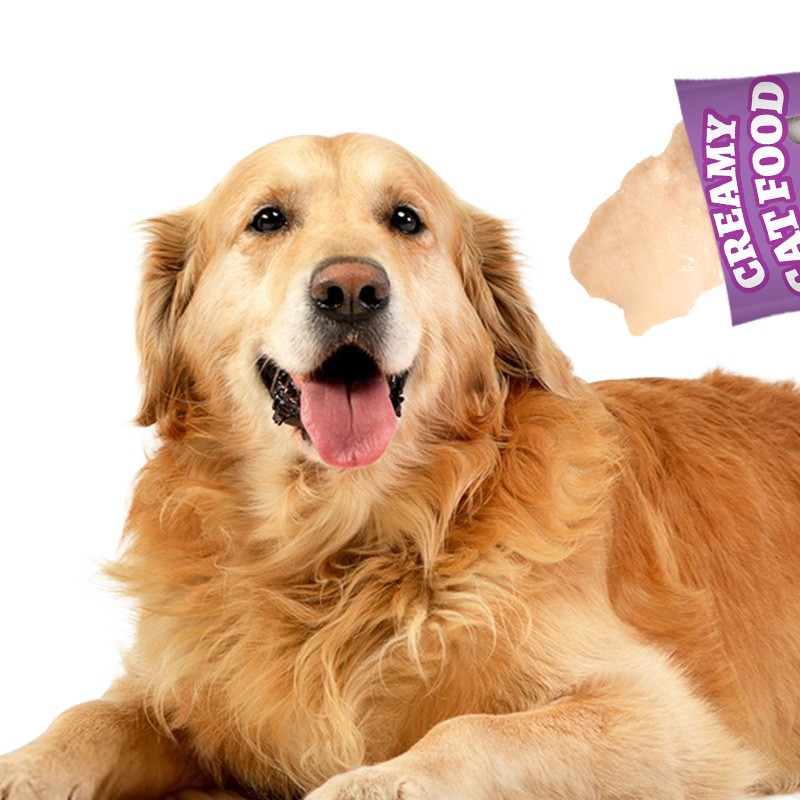 Dog Wet Food Factory - Alice ODM OEM Natural Tuna Chicken