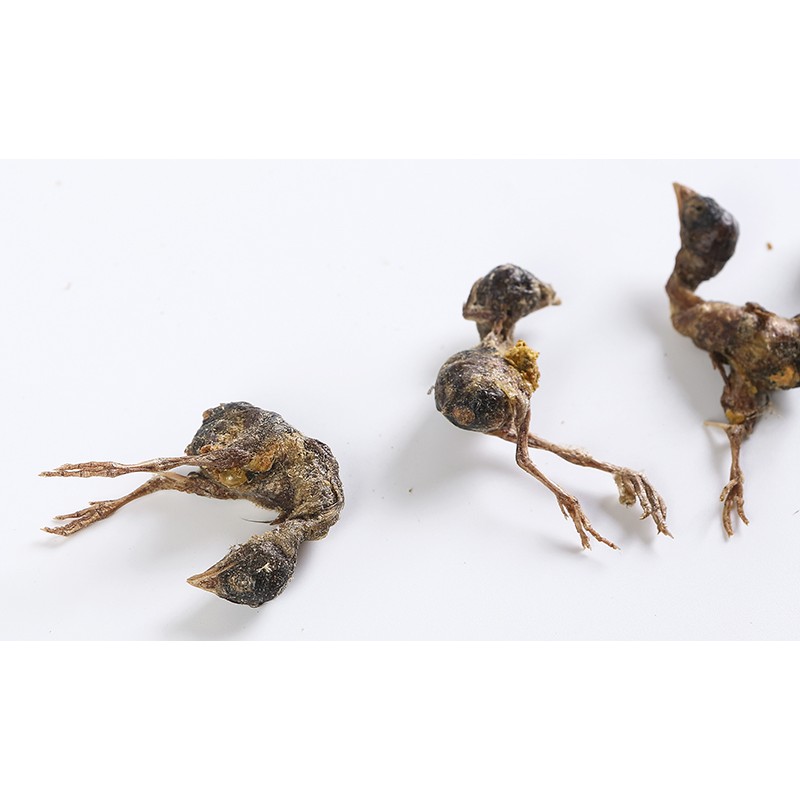 Freeze-Dried Treats Factory - Wholesale OEM Natural Pure Meat Quail Freeze Dried Pet Treats