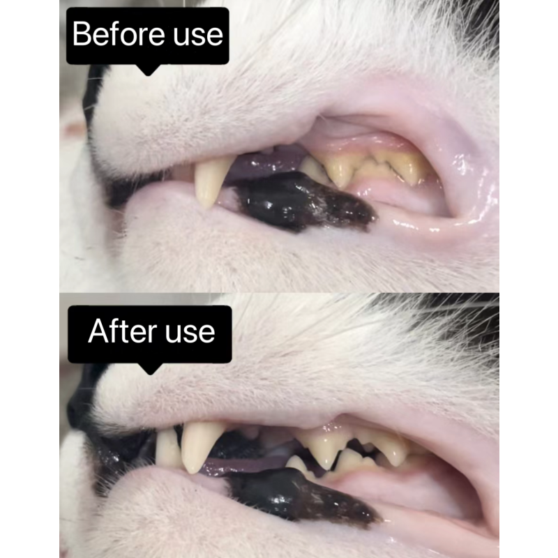 Dental Care Supplier - Anti-Plaque Dental Care Teeth Cleaning Powder Dogs Cats Private