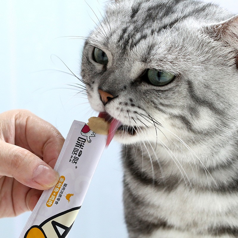 Wet Cat Snack Supplier - Best Quality Factory Customized Wholesale 15g Various Flavors