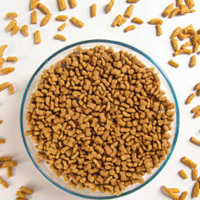 Dry Dog Food Factory - Free Samples OEM ODM Hot Sale Bulk Pet Food Dog Food