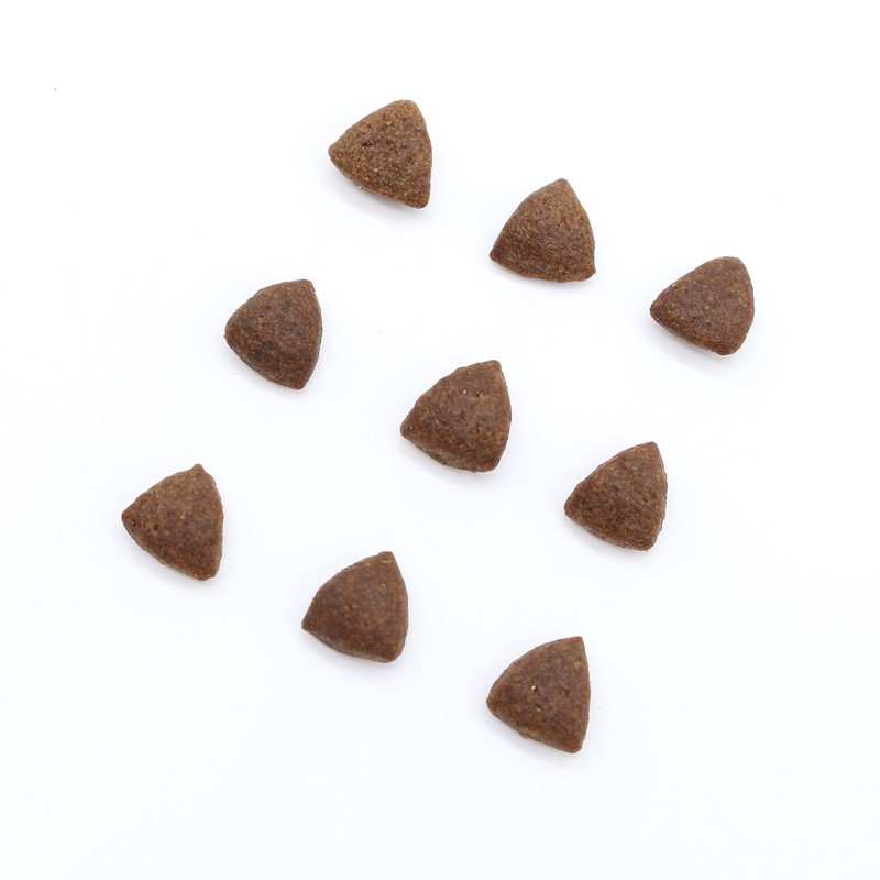 Pet Food Manufacturer - GIBO Brand Series Factory Directly Wholesale Kitten Food 12LB