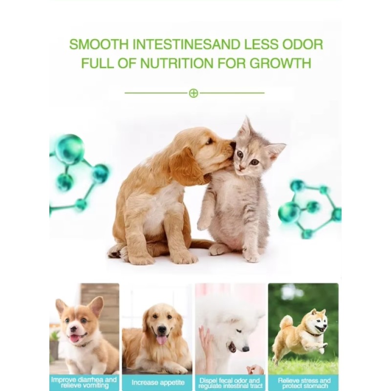 Digestive Support Supplier - Gas Relief Bad Breath Diarrhea Constipation Digestive Enzymes