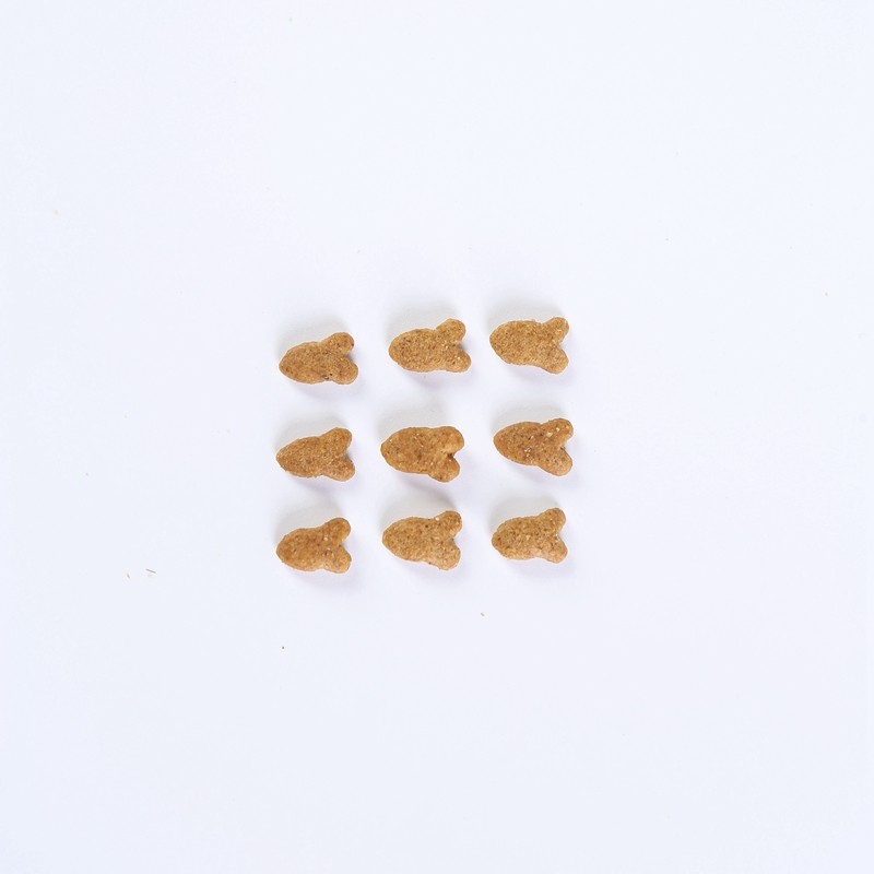 Dry Dog Food Manufacturer - Factory Hot Sale OEM/ODM Bulk Pet Food Customizable