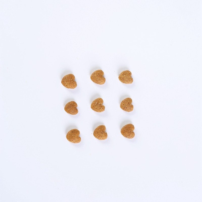 Cat Food Manufacturer - OEM Cheapest Factory Exports 10kg High Protein Customized Flavors