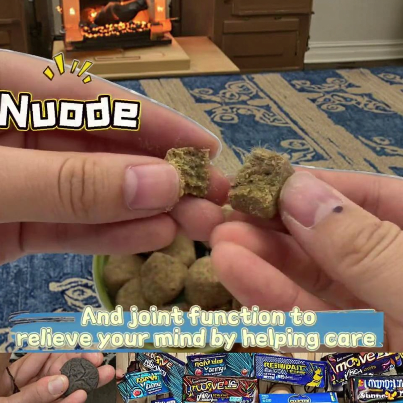 Pet Probiotics Manufacturer - OEM ODM Digestive Enzymes Gut Health Soft Chews