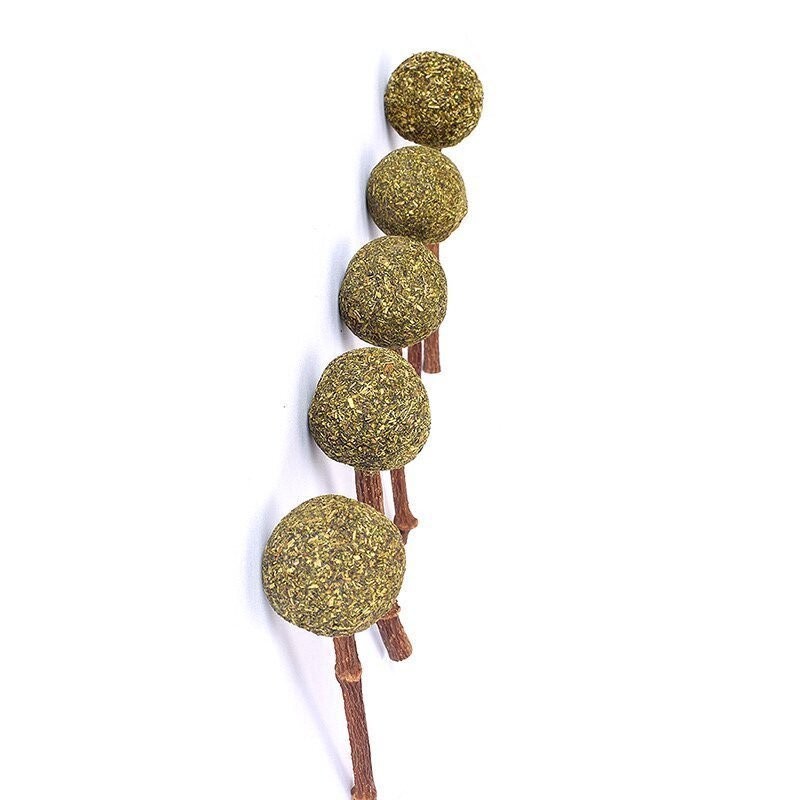 Catnip Chew Toys Supplier - Healthy Catnip Chew Toys Different Shapes Balls Lollipops