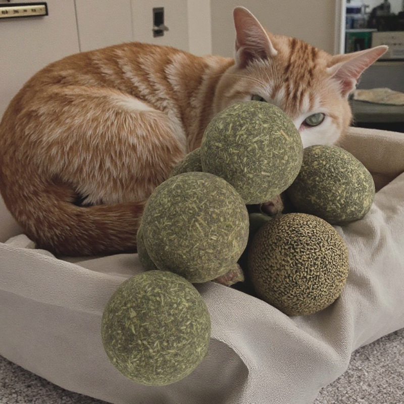Catnip Chew Toys Supplier - Healthy Catnip Chew Toys Different Shapes Balls Lollipops