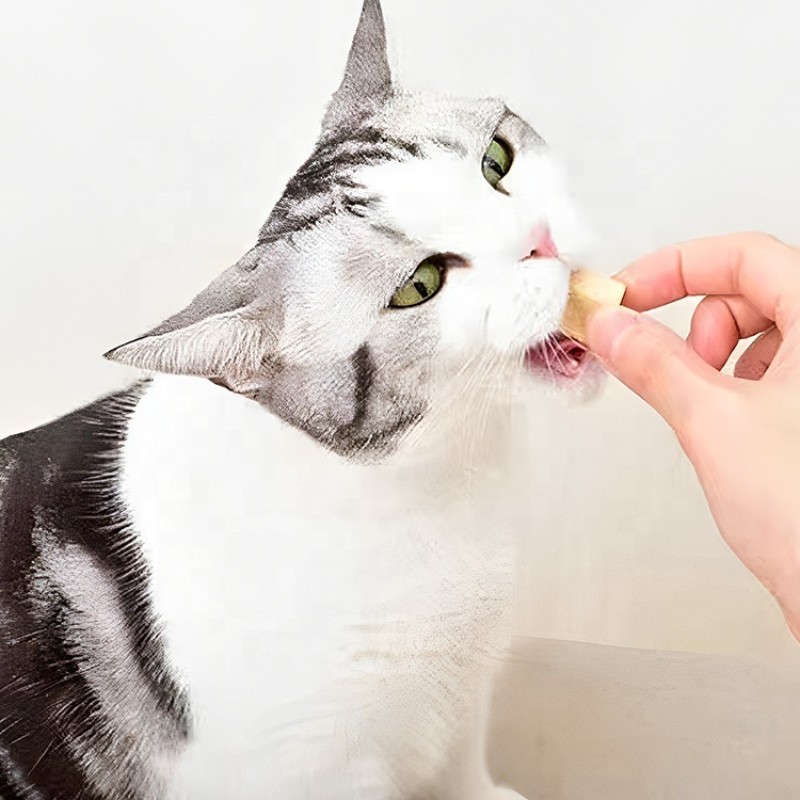 Freeze-Dried Food Factory - OEM/ODM Freeze-Dried Chicken Cubes Multiple Flavors Beef High Protein