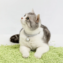 Cat Litter Factory - High Sales Custom Factory Direct Selling Wholesale Price Premium