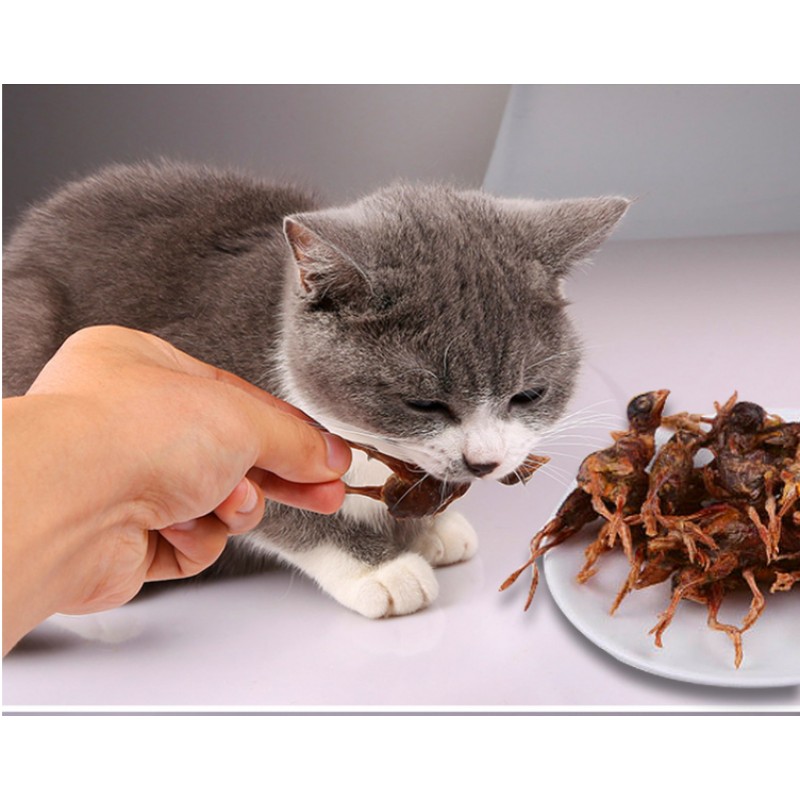 Freeze-Dried Treats Factory - Wholesale OEM Natural Pure Meat Quail Freeze Dried Pet Treats