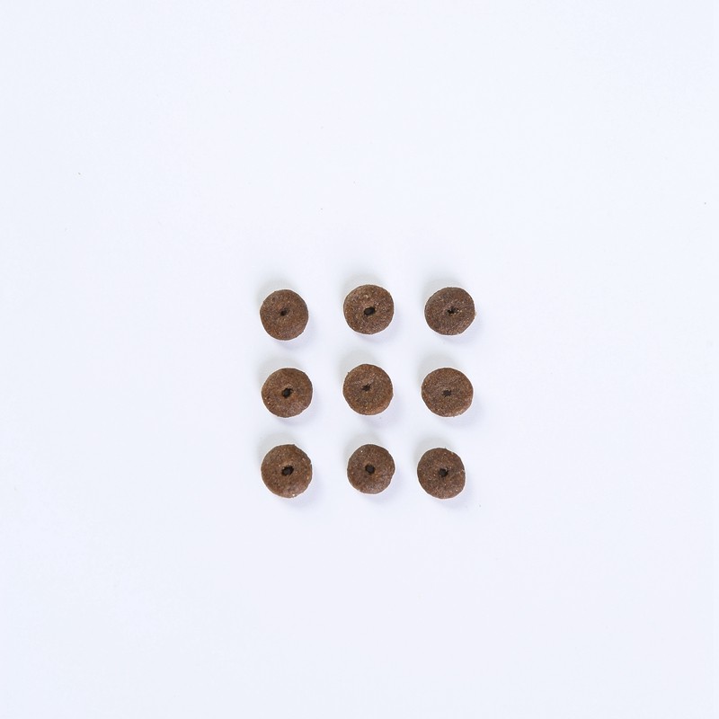 Pet Food Manufacturer - GIBO Brand Series Factory Supply Adult Dog Food Dry Cat Food