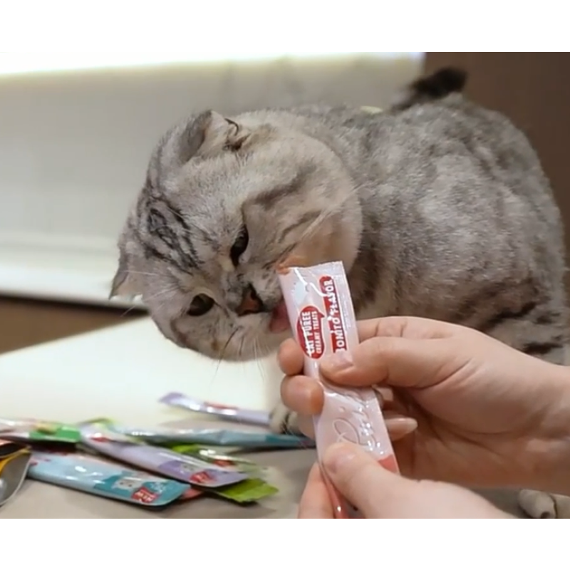 Cat Snacks Supplier - Supplier Natural Cat Snacks Stick Chicken Creamy Treats Wet