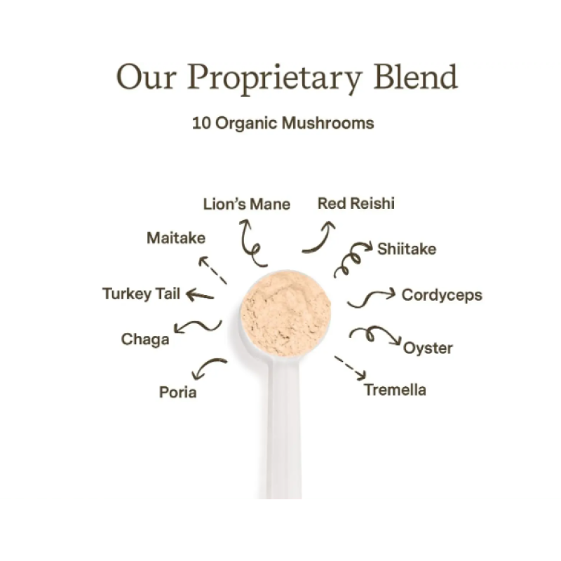 Pet Supplements Supplier - Wholesale Natural Organic Pet Mushroom Extract Powder Immune