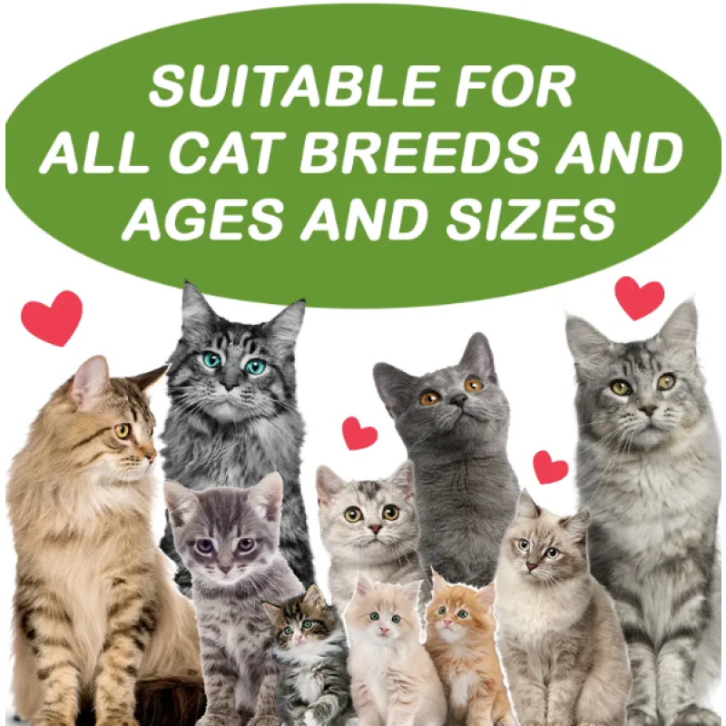 Pet Supplements Factory - OEM/ODM Natural Probiotic Soft Chews Gut Health Care Fish