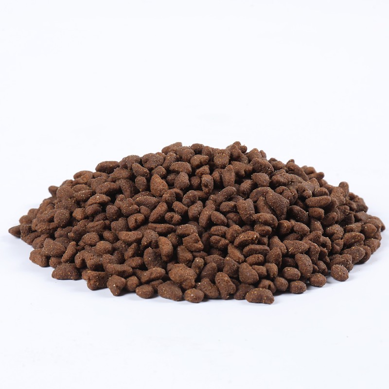 Adult Cat Food Manufacturer - GIBO Adult Cat Dry Food Wholesale High Protein Grain-free