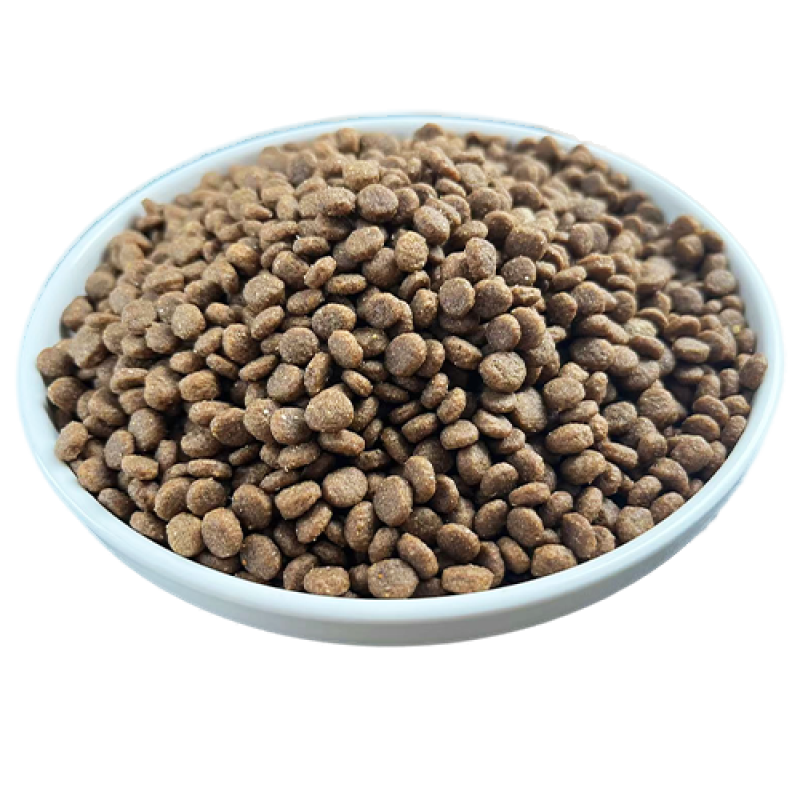 Kitten Food Manufacturer - Premium AMNA Kitten Wholesale 1.5kg-10kg High Quality Complete