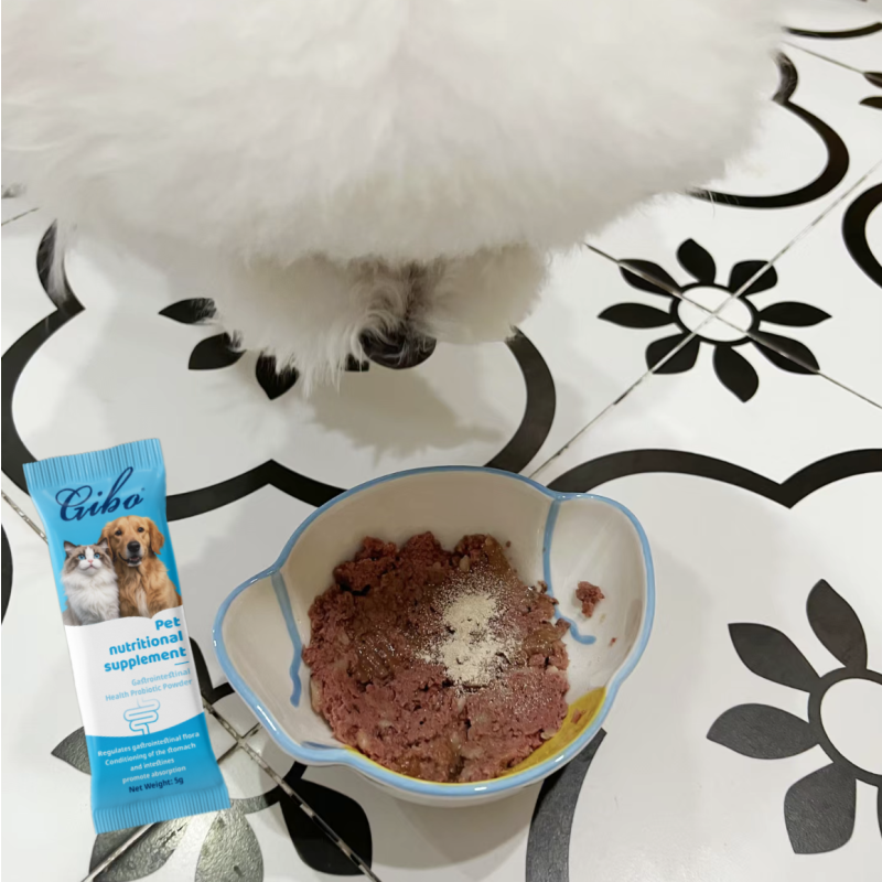 Probiotics Powder Factory - Factory Private Label Probiotics Prebiotics Powder Dogs